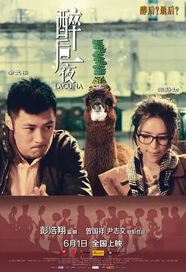 醉后一夜 海报