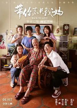 带你去见我妈 海报