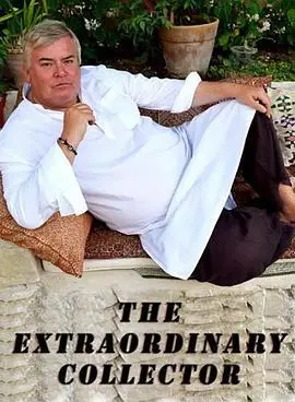 非凡收藏家 海报