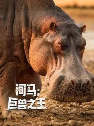 揭秘河马的野性世界！《河马：巨兽之王》：一部颠覆你认知的自然纪录片，凶猛与温柔并存