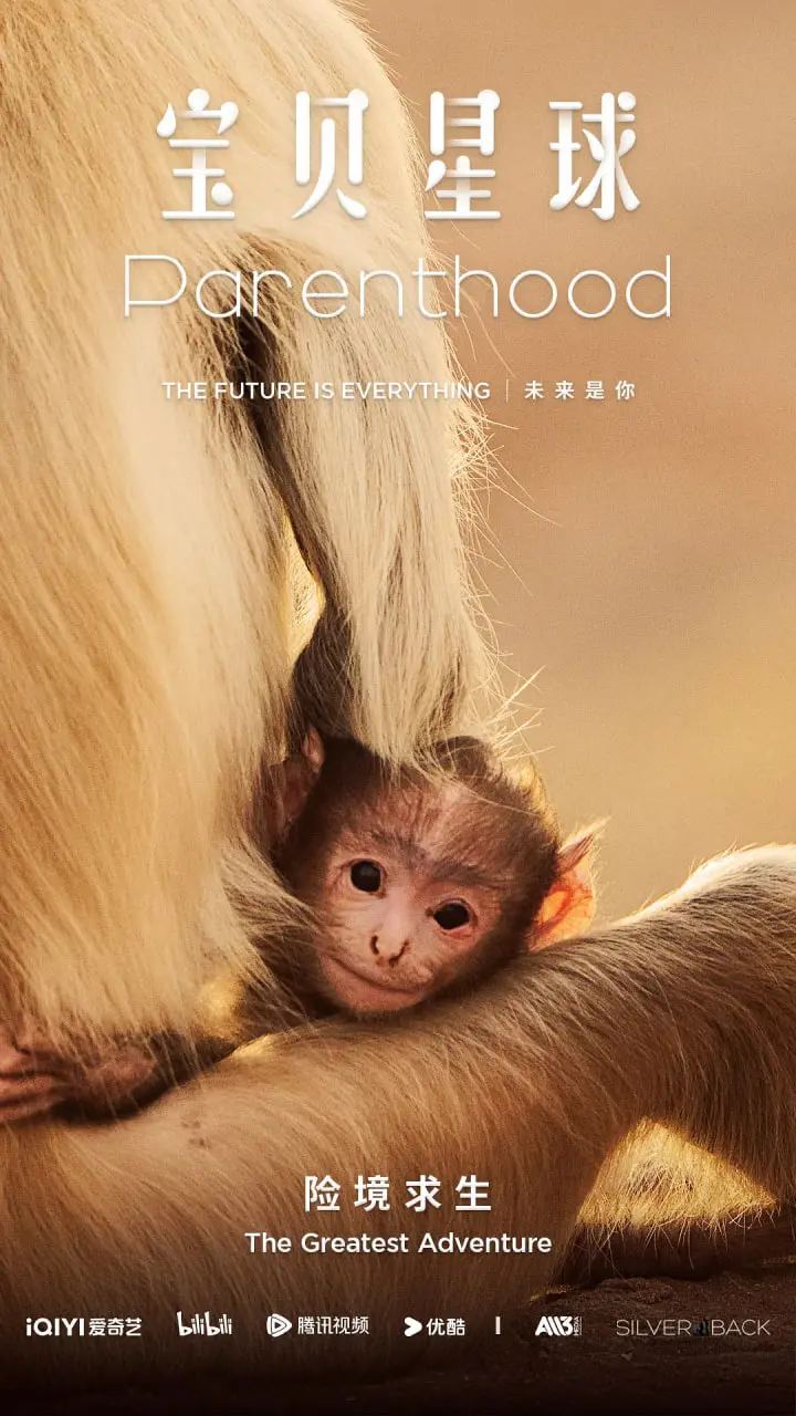 《宝贝星球》：一场奇幻冒险之旅，带你重拾童真与梦想！