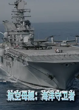 《航空母舰：海洋守卫者》：钢铁巨兽的史诗守护，展现大国海军的深邃力量与人性抉择